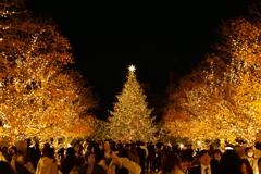 クリスマスイルミネーション