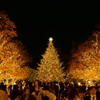 クリスマスイルミネーション