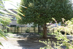 公園