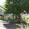 公園