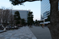 中野四季の森公園
