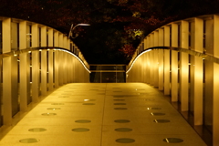 都会にかかる橋