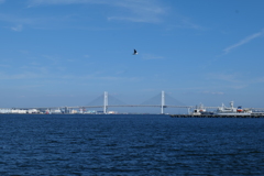 みなとみらいの海