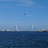 みなとみらいの海