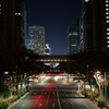 夜の西新宿