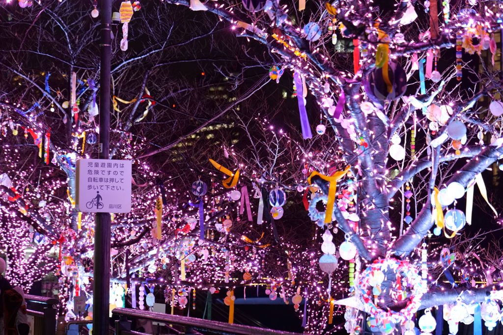 目黒川イルミネーション