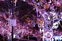 目黒川イルミネーション