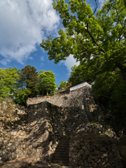 P5040166-0507
