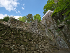 P5040154-0507