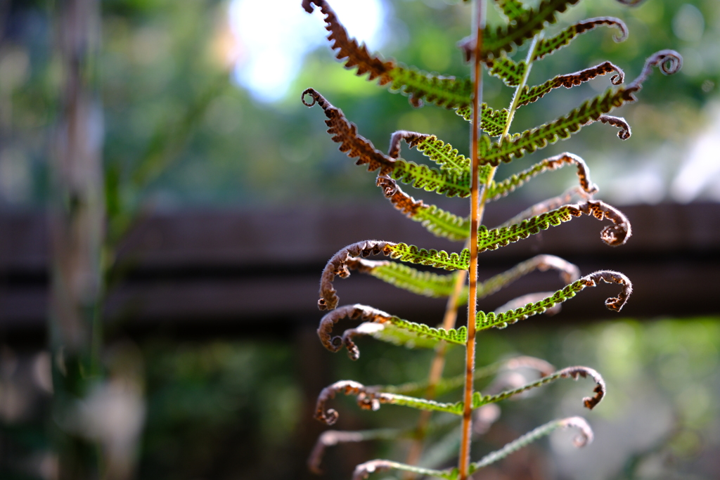 今にも動き出しそう