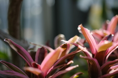 柔らかい光を受けて