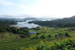 棚田、漁港、多島海