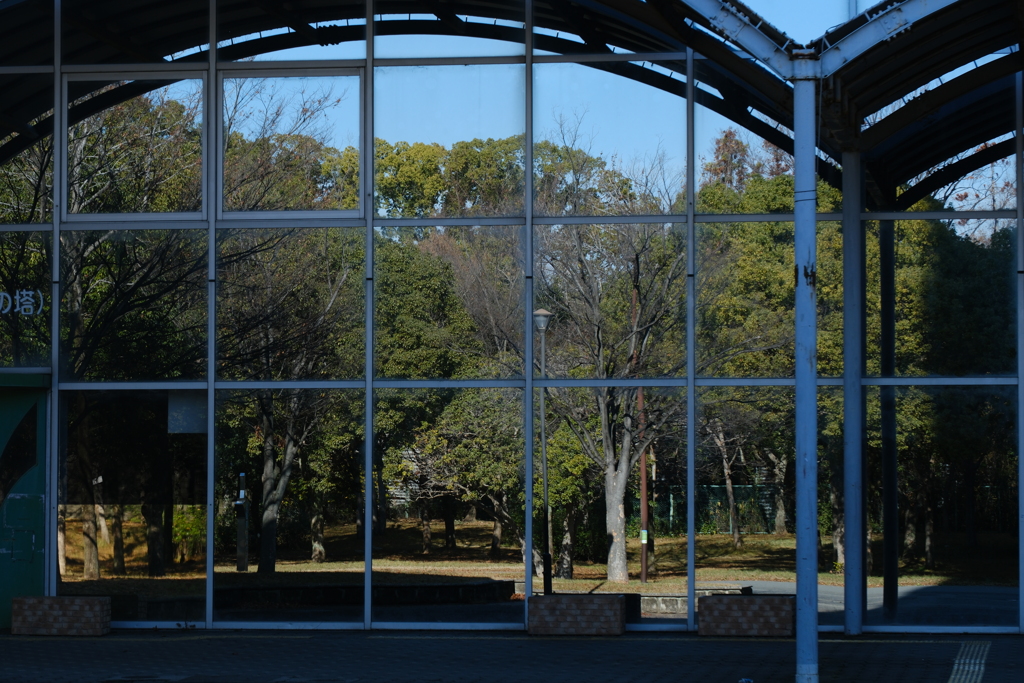 鏡の中の公園