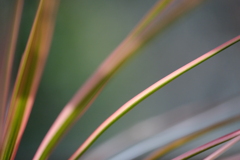 アウトフォーカス