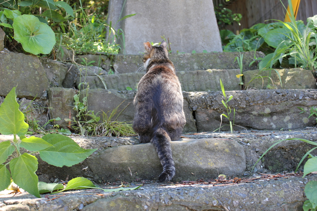 尻尾がだらん
