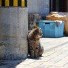 電柱にぴたり