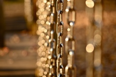 夕暮れに玉ボケ遊びなど…