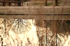 冬のある日、夕暮れ