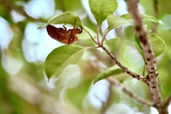 過ぎた季節を辿る