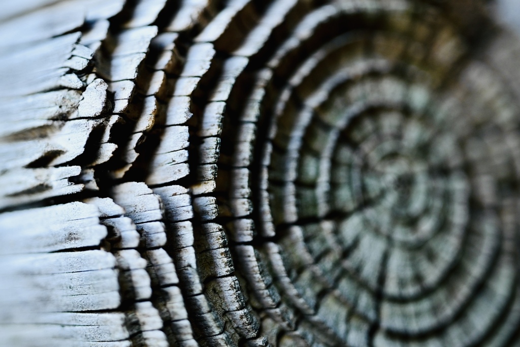 過ぎ去った時間を想う