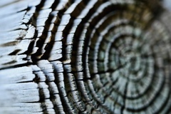 過ぎ去った時間を想う