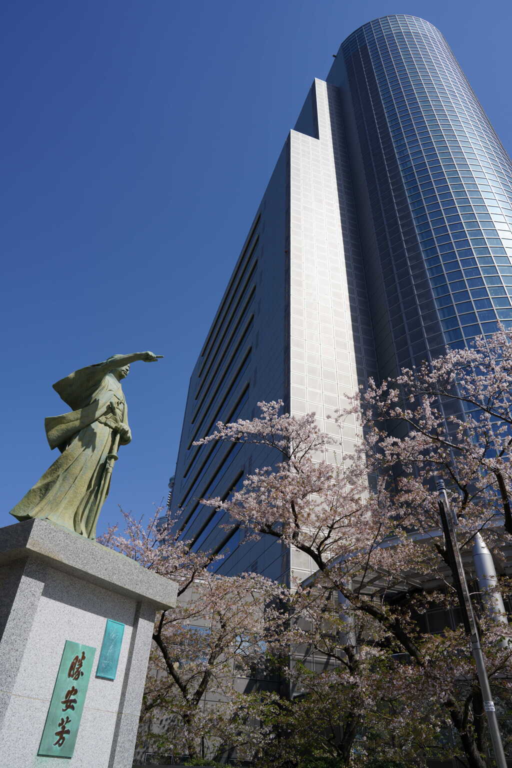 勝海舟像と桜
