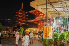 浅草ほおずき市