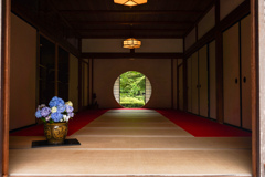 鎌倉明月院