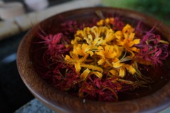 西方寺曼珠沙華