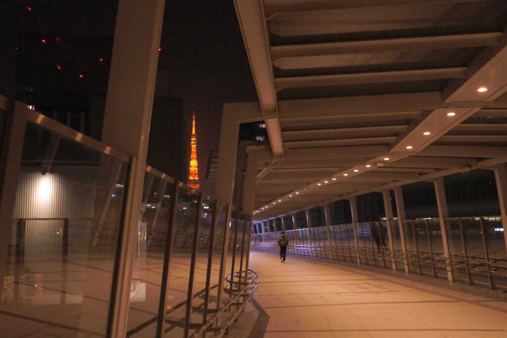 デッキからの東京タワー