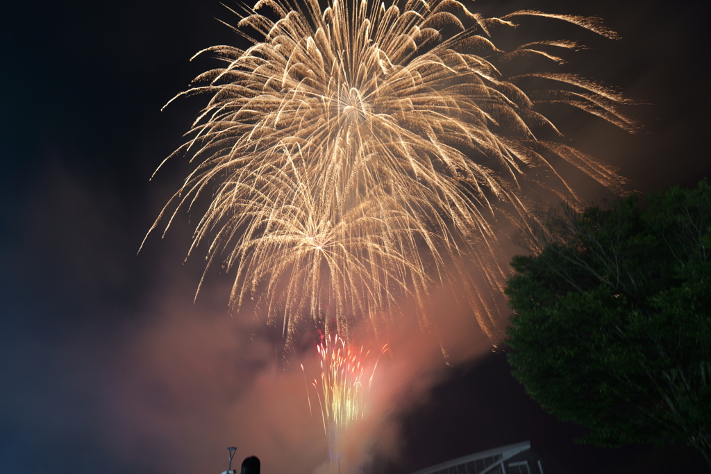夜空を彩る