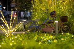 Cycling at night