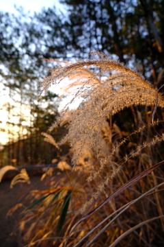 おうちへ帰ろう