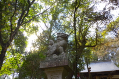 マモル