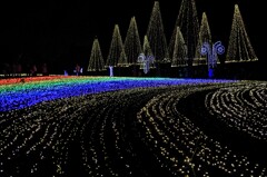 Field  of Dreams    イルミネーション