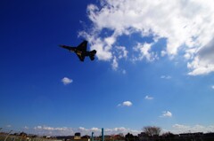 狭い塀まで　ひっと飛び