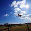 狭い塀まで　ひっと飛び　2