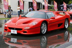 　フェラーリ　F50