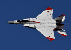 F-15 岐阜基地航空祭　予行演習　A4 Print用