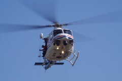 出初式　わかしゃち