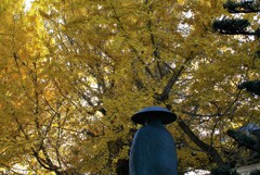 木枯し紋次郎　黄葉　銀杏