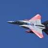 岐阜基地航空祭　予行演習　F-15 2025カラーリング