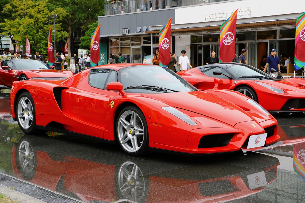 　フェラーリ　エンツォ