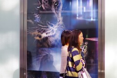 まなざし　Eye Of The Tiger　街なかスナップ
