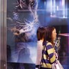 まなざし　Eye Of The Tiger　街なかスナップ