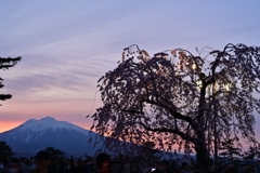 弘前城公園
