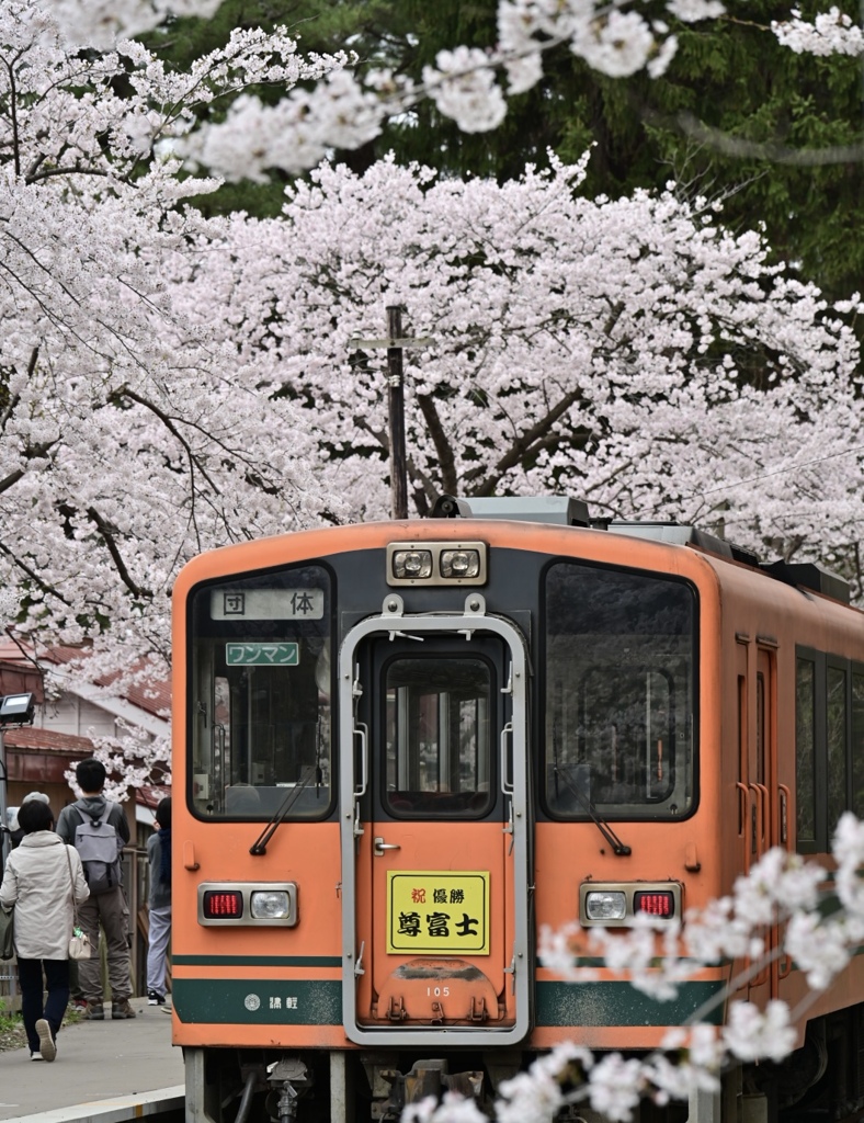 津軽の桜2