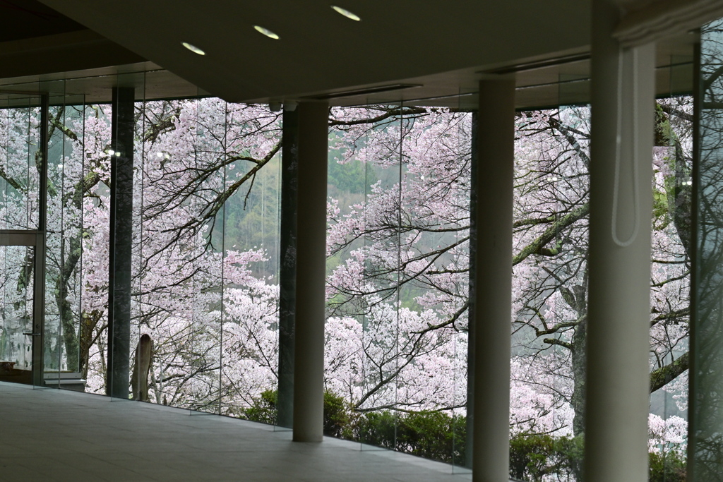 美術館2