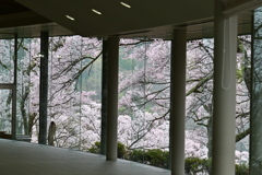 美術館2
