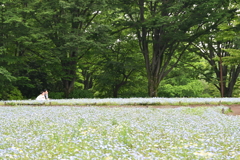 2人で生きていきます